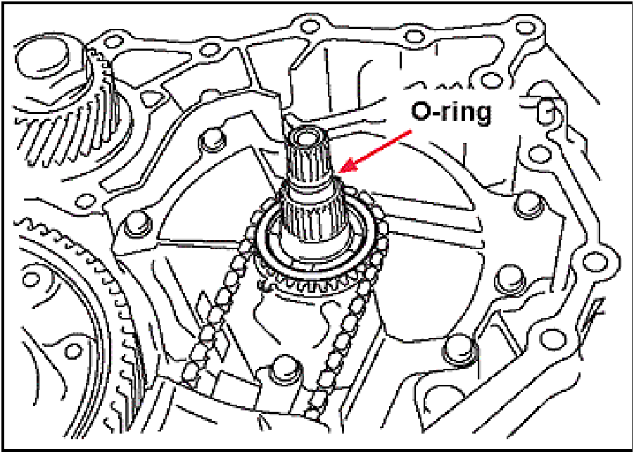 520065657_graphic-text29
